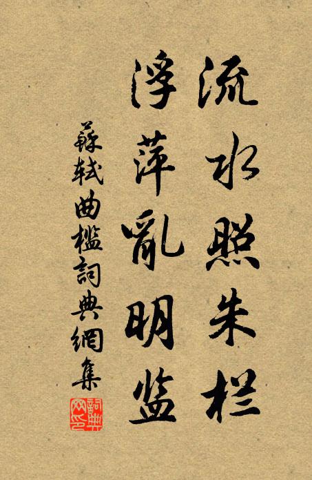 苏轼流水照朱栏,浮萍乱明监书法作品欣赏