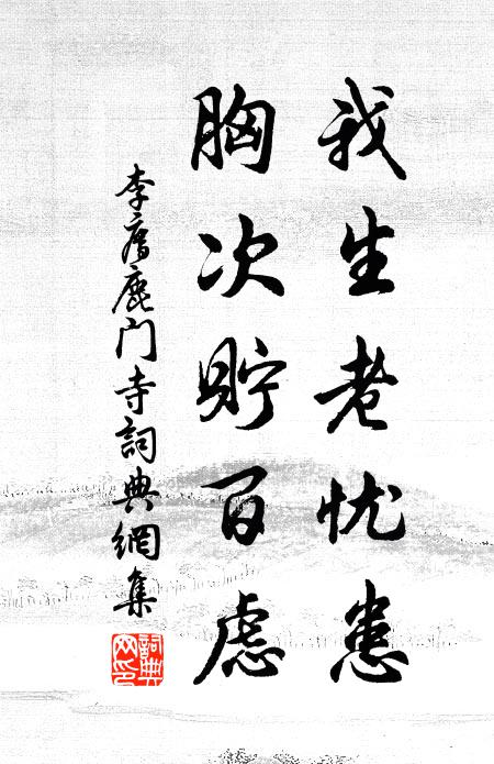 李廌我生老忧患，胸次贮百虑书法作品欣赏