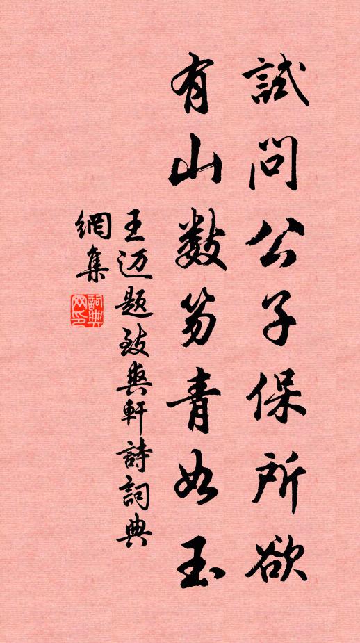 王迈试问公子保所欲，有山数笏青如玉书法作品欣赏