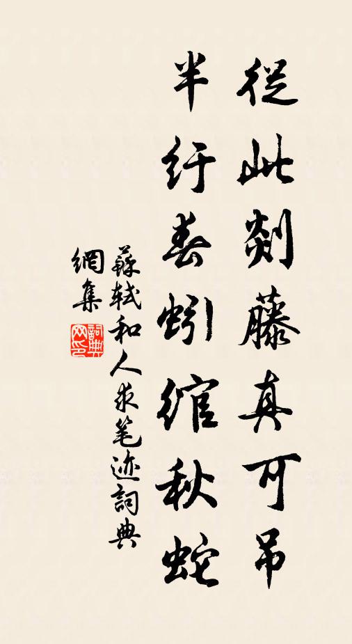 苏轼从此剡藤真可吊，半纡春蚓绾秋蛇书法作品欣赏