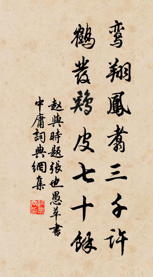 赵与时鸾翔凤翥三千许，鹤发鸡皮七十余书法作品欣赏