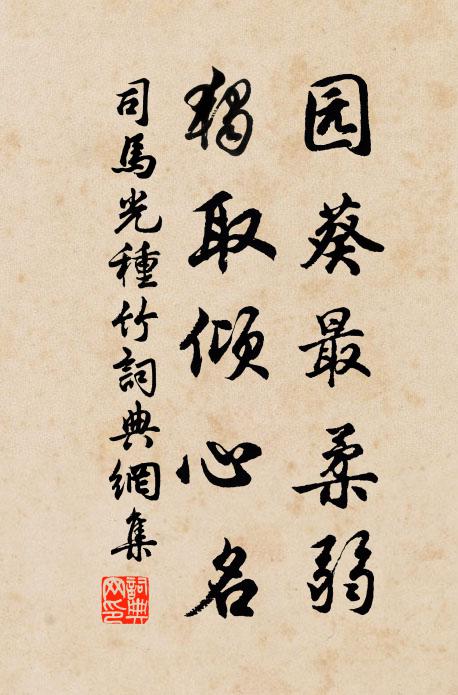 司马光园葵最柔弱，独取倾心名书法作品欣赏