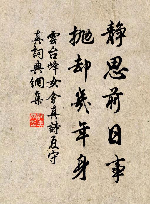 云台峰女静思前日事，抛却几年身书法作品欣赏