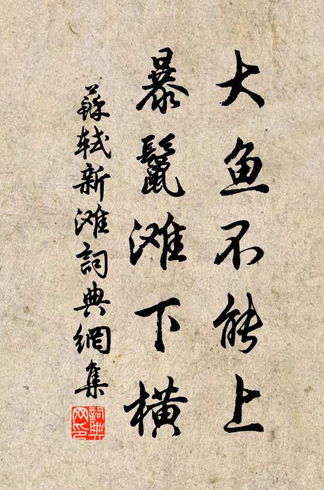 苏轼大鱼不能上，暴鬣滩下横书法作品欣赏