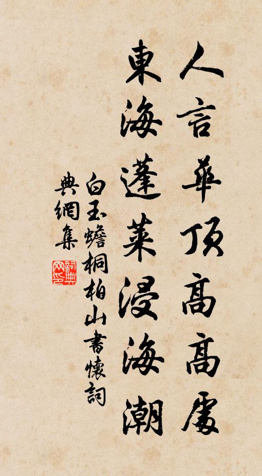白玉蟾人言华顶高高处，东海蓬莱浸海潮书法作品欣赏