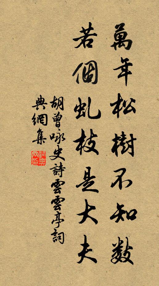 胡曾万年松树不知数，若个虬枝是大夫书法作品欣赏