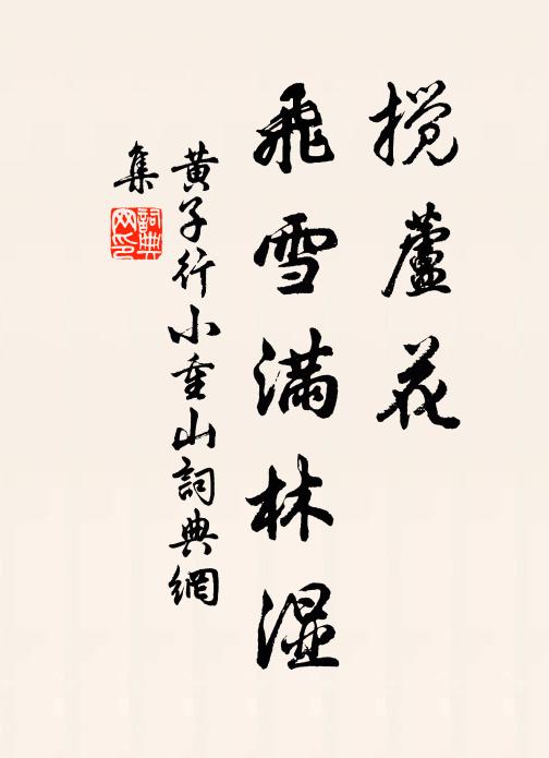 黄子行搅芦花，飞雪满林湿书法作品欣赏