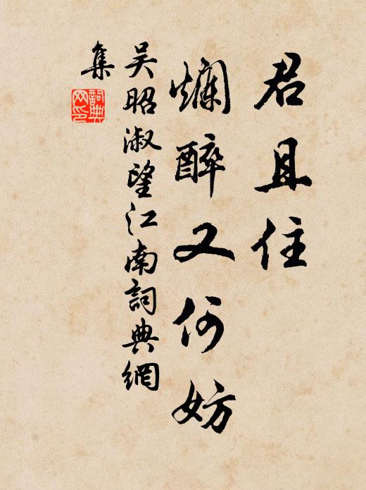 吴昭淑君且住，烂醉又何妨书法作品欣赏