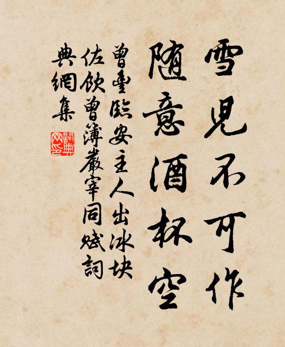 曾丰雪儿不可作，随意酒杯空书法作品欣赏