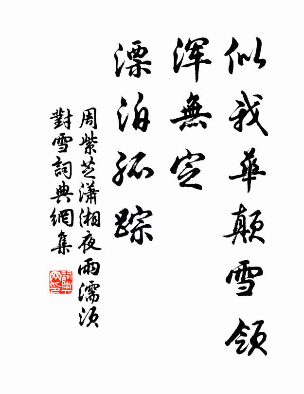 周紫芝似我华颠雪领，浑无定、漂泊孤踪书法作品欣赏