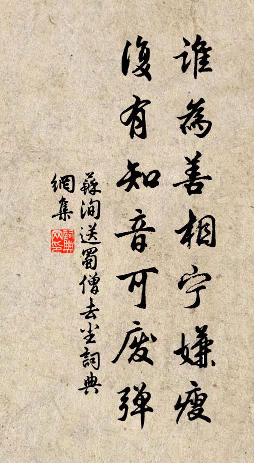 苏洵谁为善相宁嫌瘦，复有知音可废弹书法作品欣赏