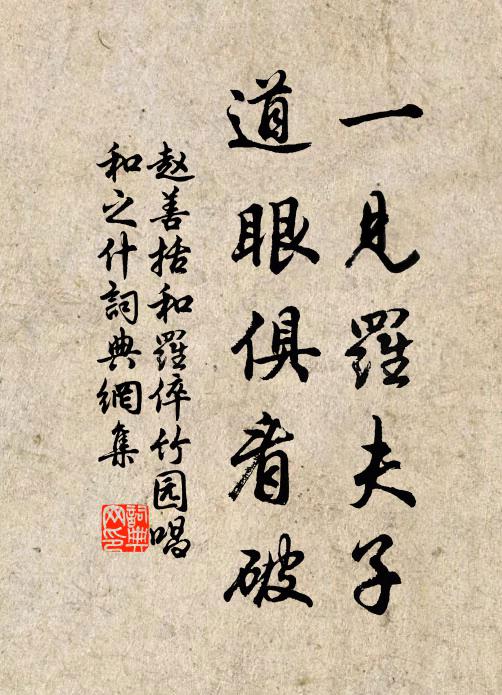 赵善括一见罗夫子，道眼俱看破书法作品欣赏