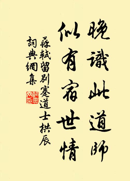 苏轼晚识此道师，似有宿世情书法作品欣赏