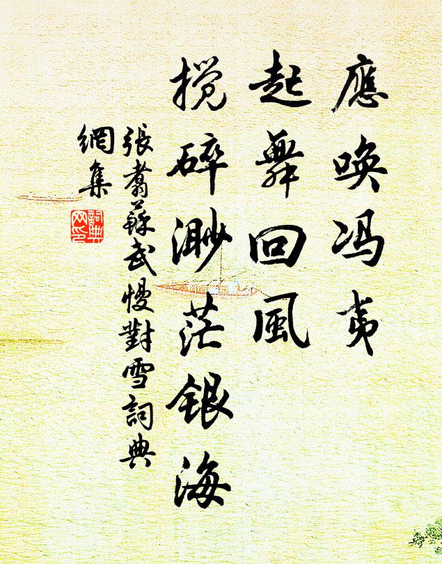 张翥应唤冯夷，起舞回风，搅碎渺茫银海书法作品欣赏