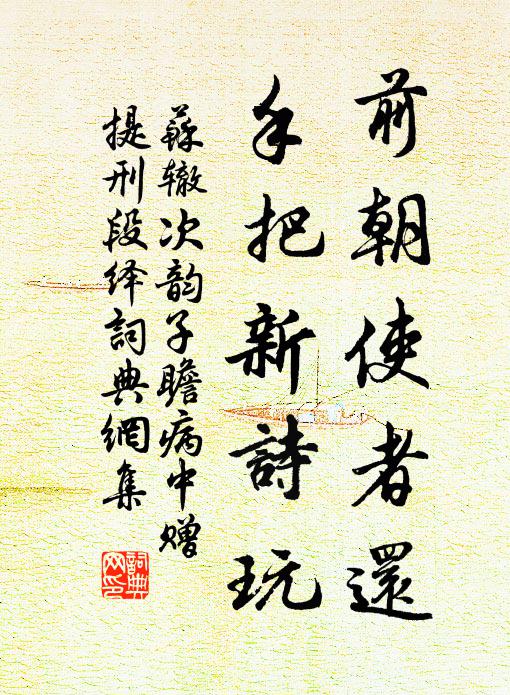 苏辙前朝使者还，手把新诗玩书法作品欣赏