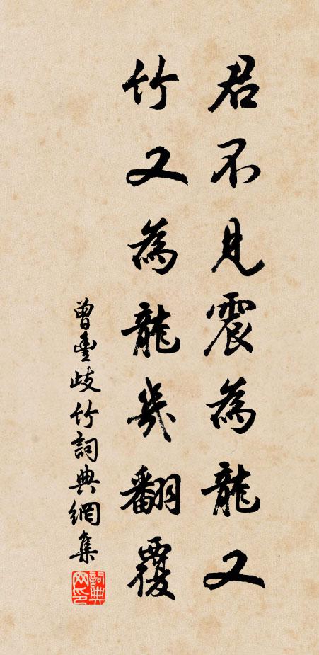 曾丰君不见震为龙又，竹又为龙几翻覆书法作品欣赏