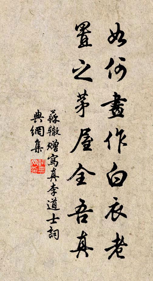 苏辙如何画作白衣老，置之茅屋全吾真书法作品欣赏