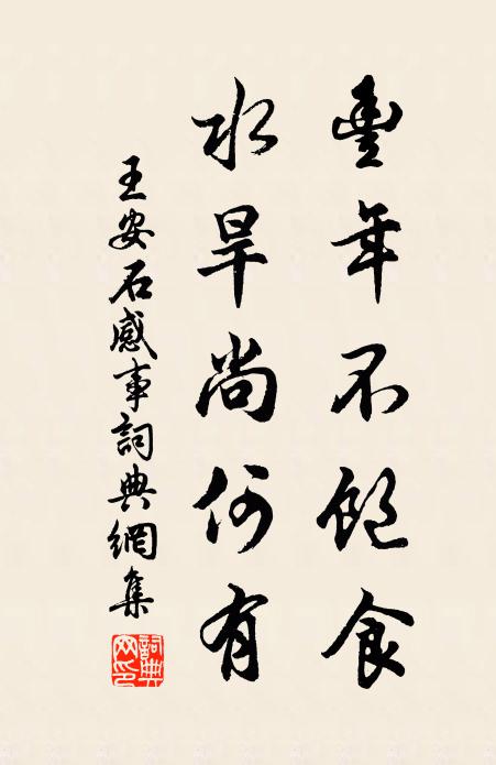 王安石丰年不饱食，水旱尚何有书法作品欣赏