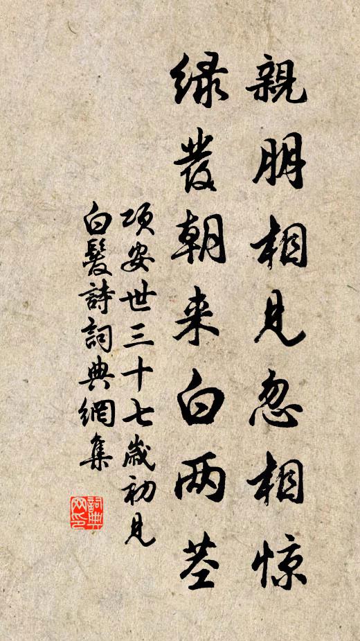 项安世亲朋相见忽相惊，绿发朝来白两茎书法作品欣赏