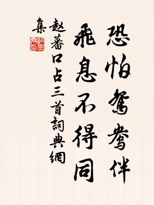 赵蕃恐怕鸳鸯伴，飞息不得同书法作品欣赏