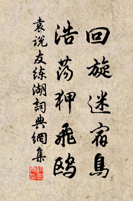 袁说友回旋迷宿鸟，浩荡狎飞鸥书法作品欣赏