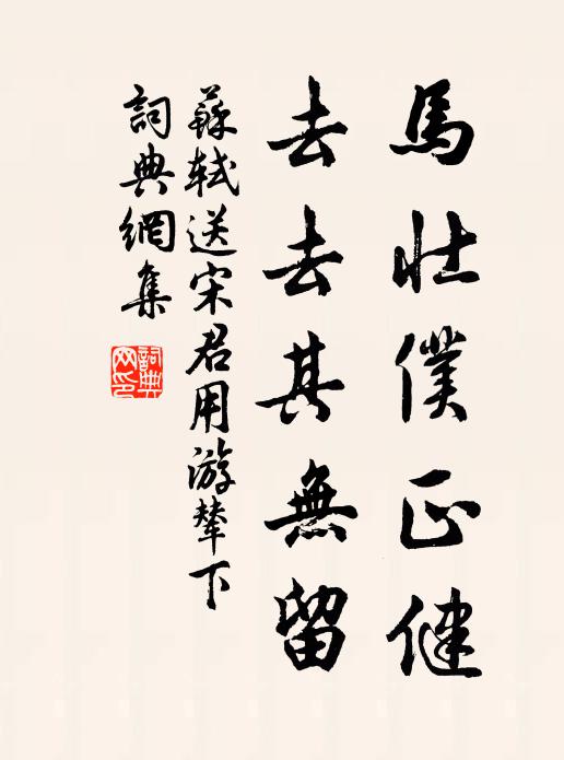 苏轼马壮仆正健,去去其无留书法作品欣赏