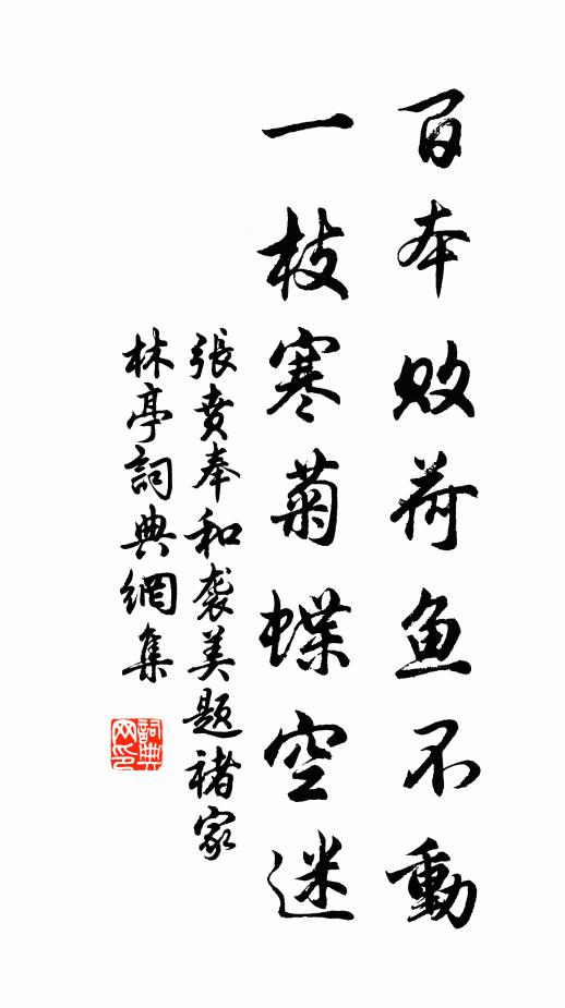 张贲百本败荷鱼不动，一枝寒菊蝶空迷书法作品欣赏