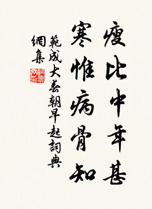 范成大瘦比中年甚，寒惟病骨知书法作品欣赏