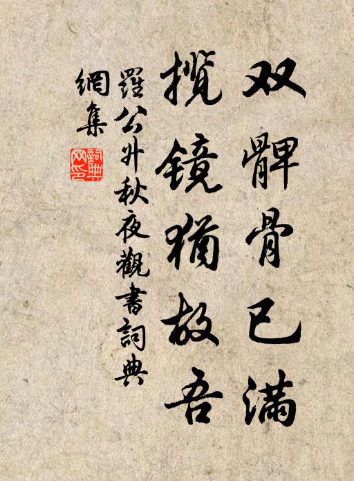 罗公升双髀骨已满，揽镜犹故吾书法作品欣赏