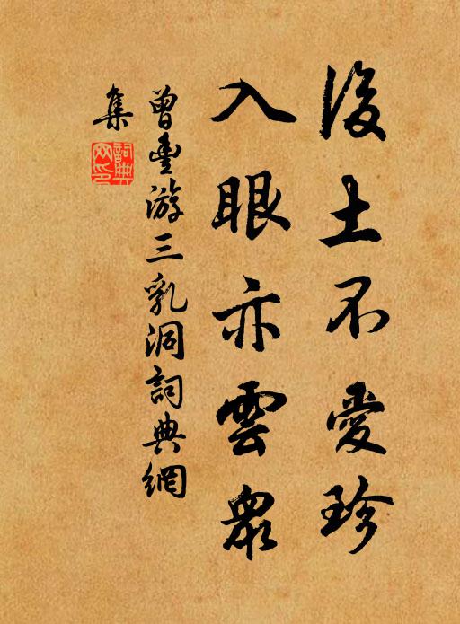 曾丰后土不爱珍，入眼亦云众书法作品欣赏
