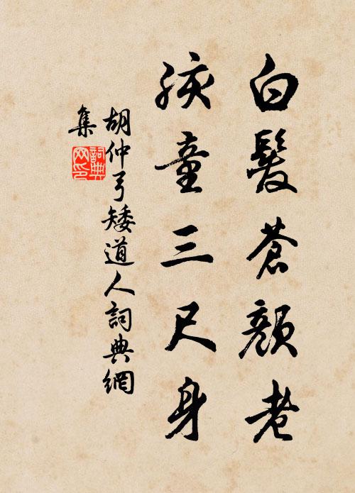 胡仲弓白发苍颜老，孩童三尺身书法作品欣赏