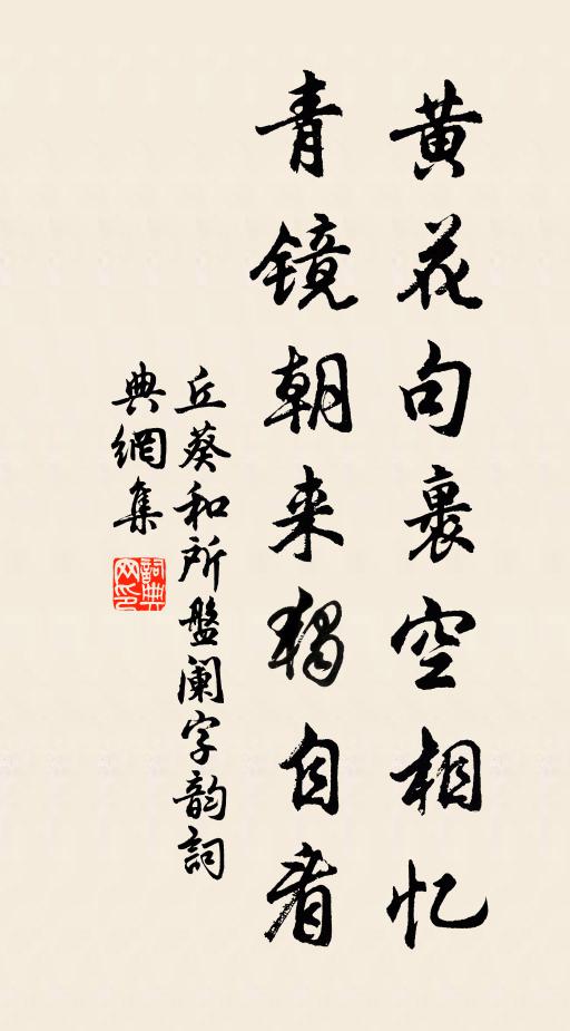丘葵黄花句裹空相忆，青镜朝来独自看书法作品欣赏