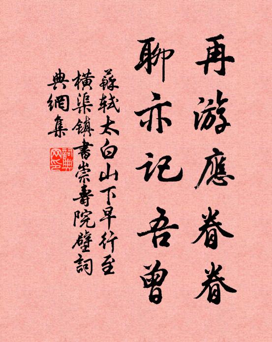苏轼再游应眷眷，聊亦记吾曾书法作品欣赏