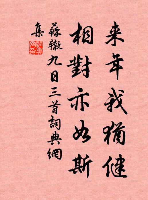 苏辙来年我犹健，相对亦如斯书法作品欣赏