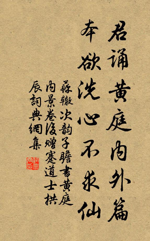 苏辙君诵《黄庭》内外篇，本欲洗心不求仙书法作品欣赏