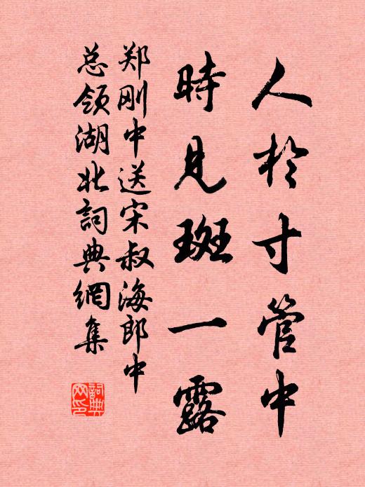 郑刚中人於寸管中,时见斑一露书法作品欣赏