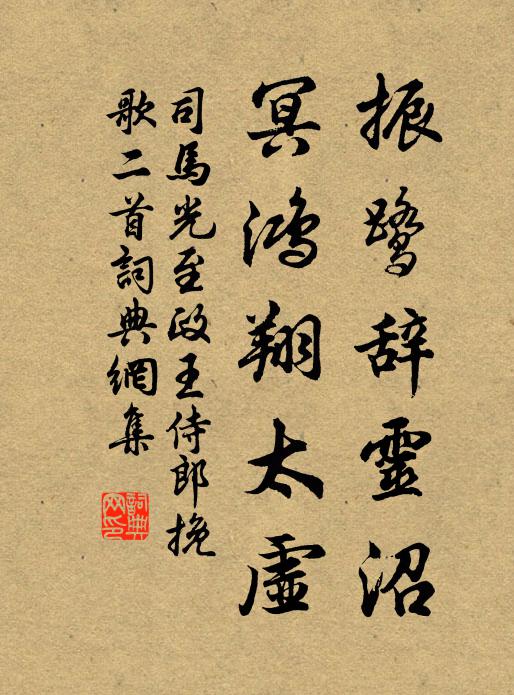 司马光振鹭辞灵沼，冥鸿翔太虚书法作品欣赏