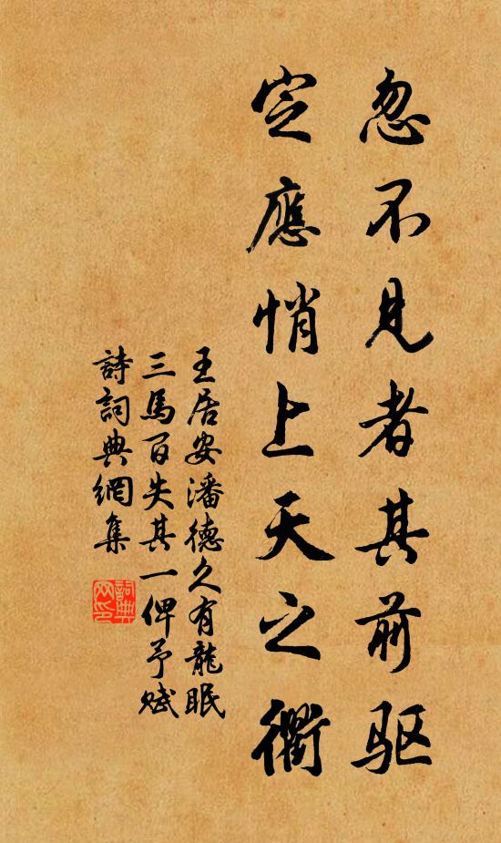 王居安忽不见者其前驱，定应悄上天之衢书法作品欣赏