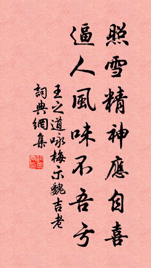 王之道照雪精神应自喜，逼人风味不吾亏书法作品欣赏
