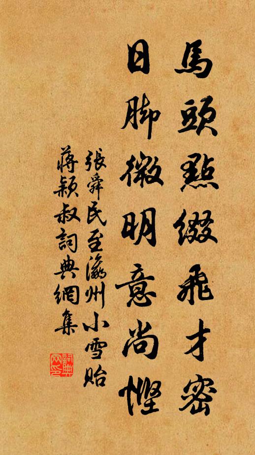 张舜民马头点缀飞才密，日脚微明意尚悭书法作品欣赏