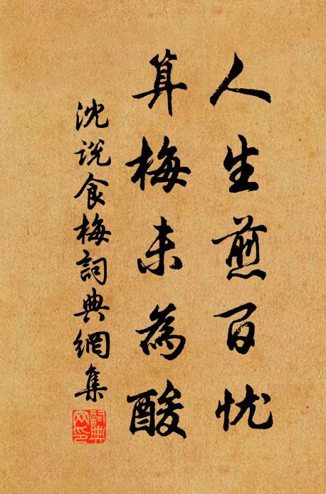 沈说人生煎百忧，算梅未为酸书法作品欣赏