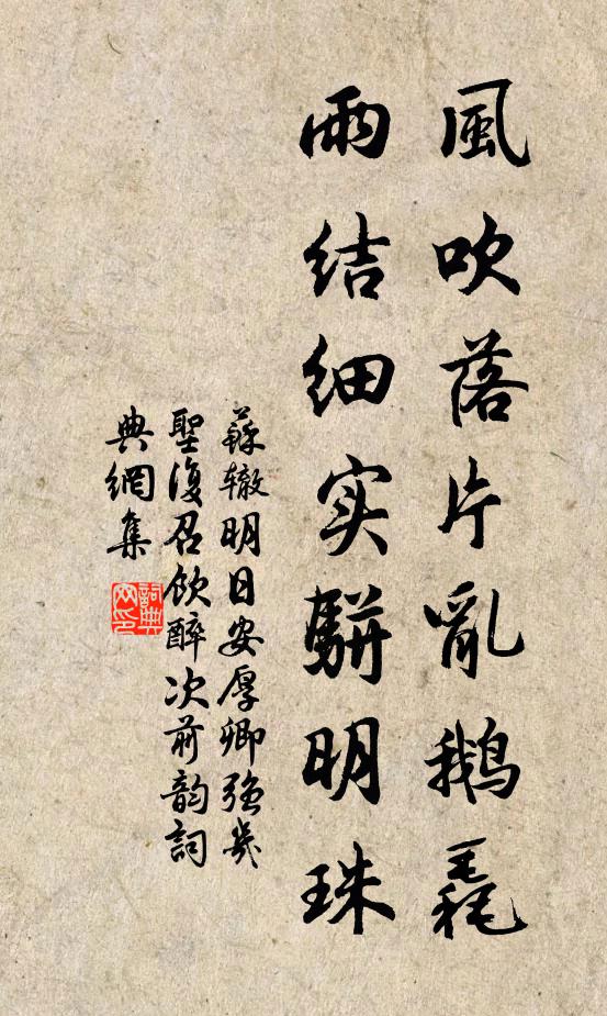 苏辙风吹落片乱鹅毳，雨结细实骈明珠书法作品欣赏