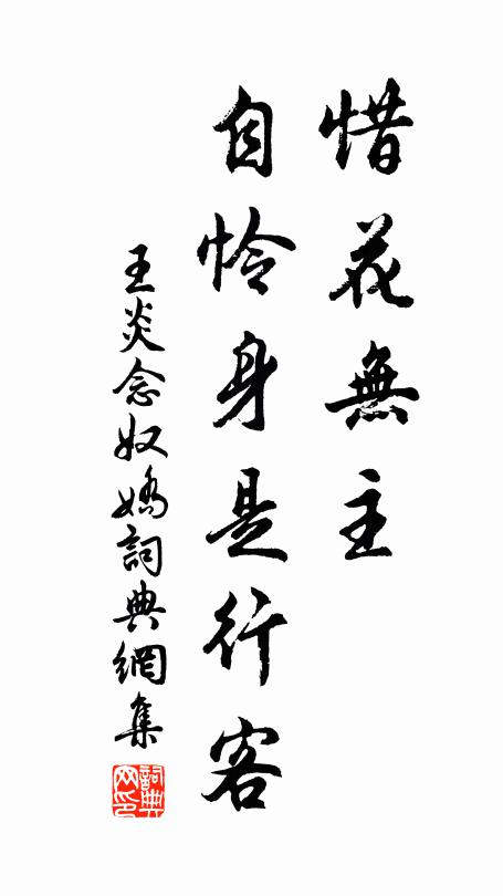 王炎惜花无主，自怜身是行客书法作品欣赏