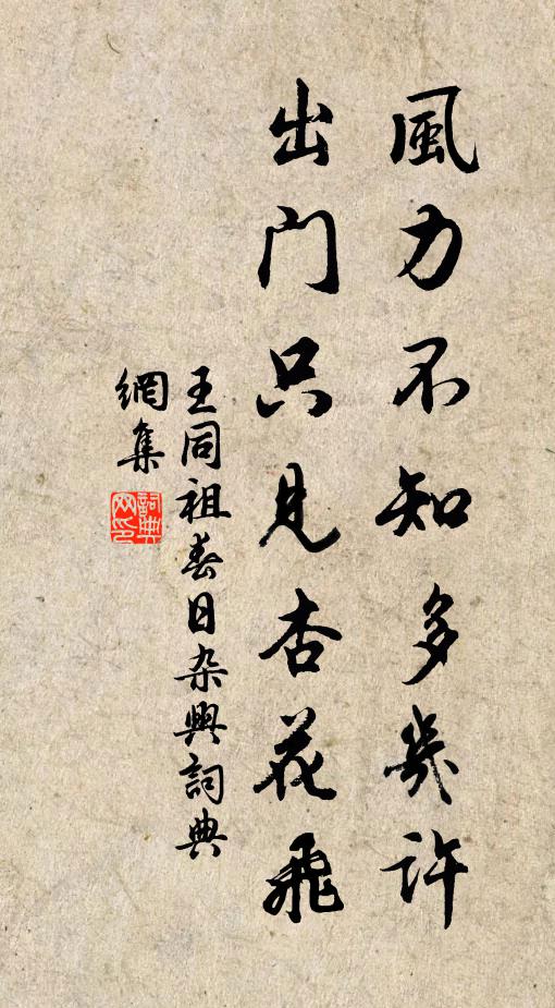 王同祖风力不知多几许，出门只见杏花飞书法作品欣赏