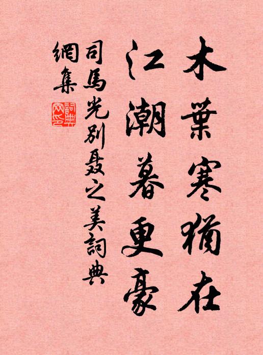 司马光木叶寒犹在，江潮暮更豪书法作品欣赏
