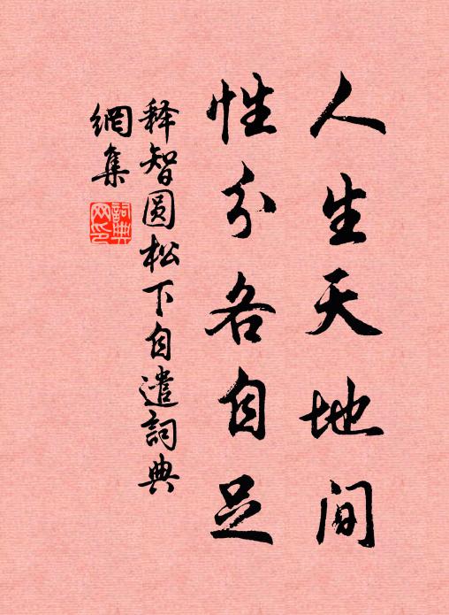 释智圆人生天地间，性分各自足书法作品欣赏