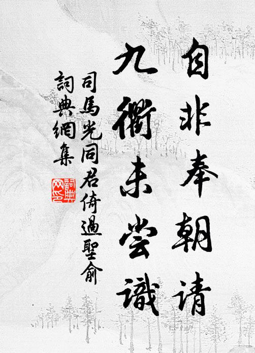 司马光自非奉朝请，九衢未尝识书法作品欣赏