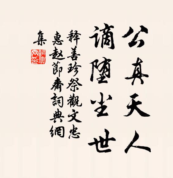 释善珍公真天人，谪堕尘世书法作品欣赏