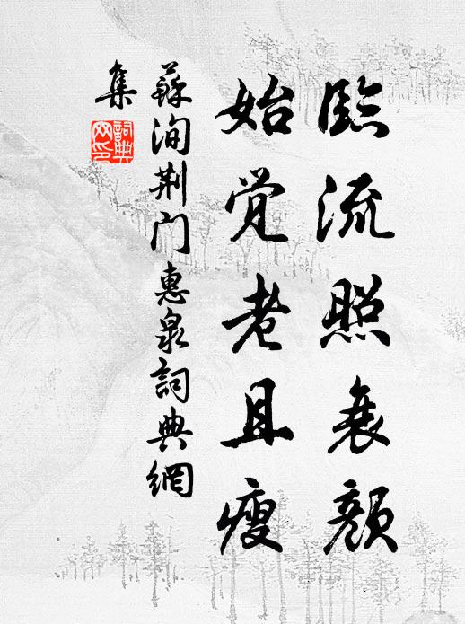苏洵临流照衰颜，始觉老且瘦书法作品欣赏