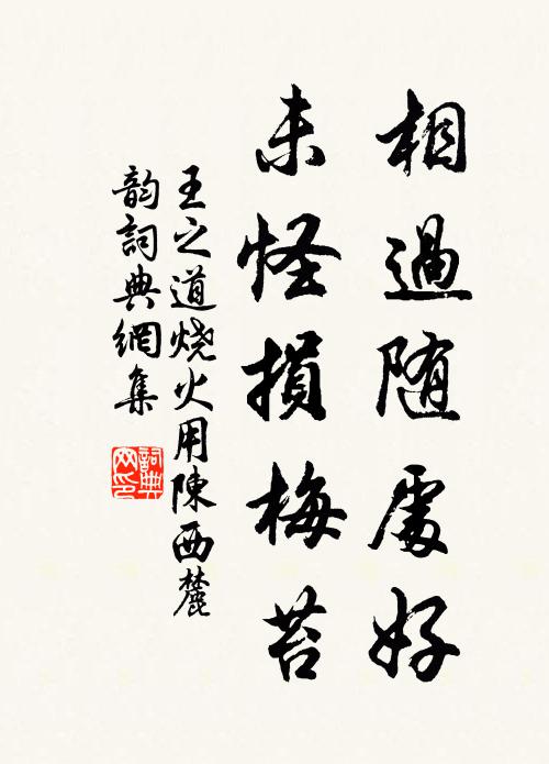 王之道相过随处好，未怪损梅苔书法作品欣赏